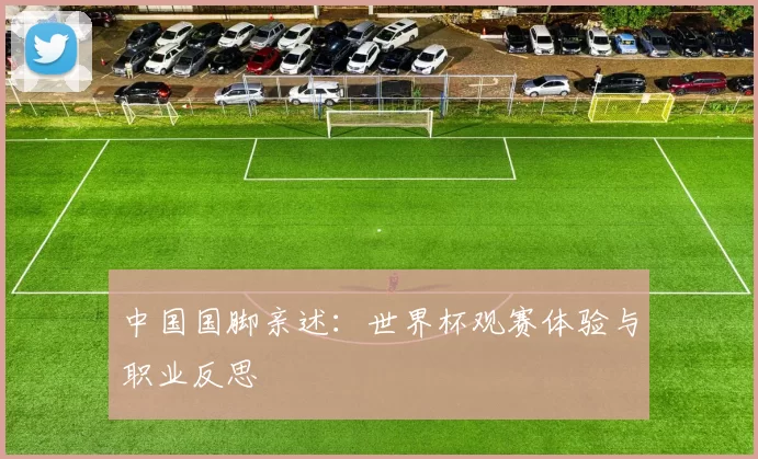 中国国脚亲述：世界杯观赛体验与职业反思