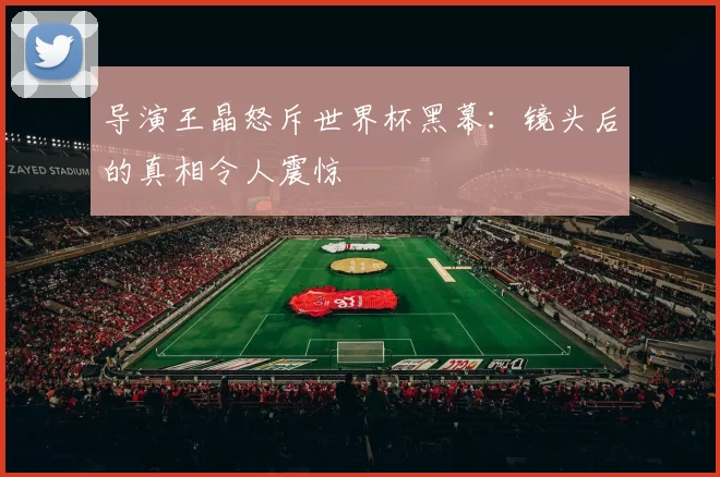 导演王晶怒斥世界杯黑幕：镜头后的真相令人震惊