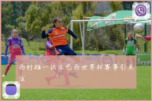 西村雄一执法巴西世界杯赛事引关注