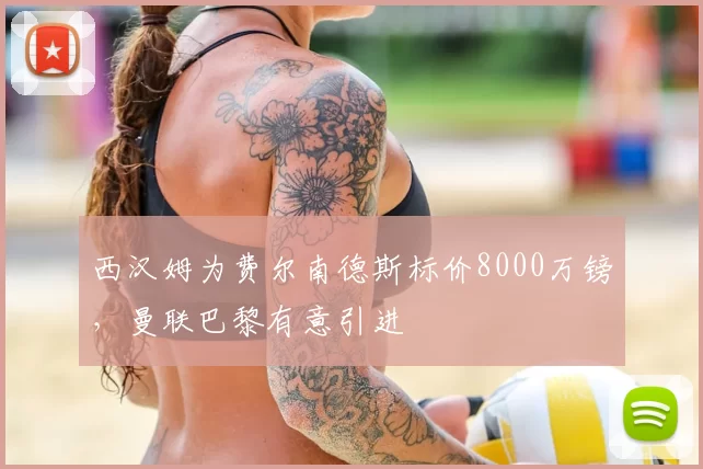 西汉姆为费尔南德斯标价8000万镑，曼联巴黎有意引进