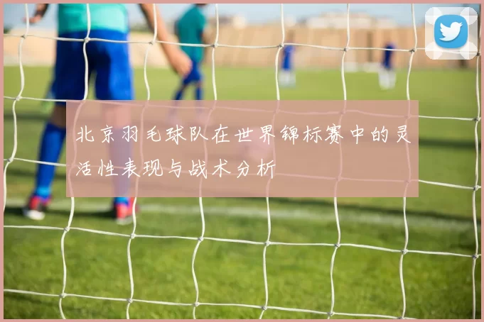 北京羽毛球队在世界锦标赛中的灵活性表现与战术分析