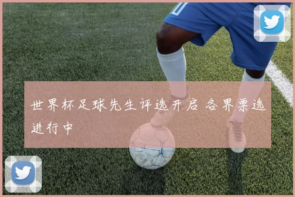 世界杯足球先生评选开启 各界票选进行中