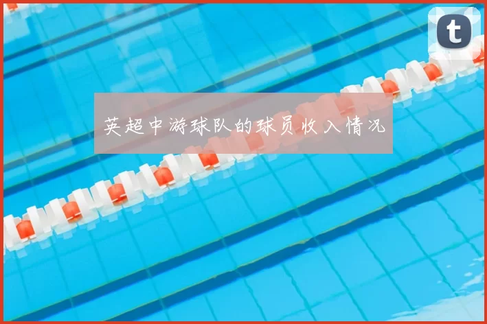 英超中游球队的球员收入情况