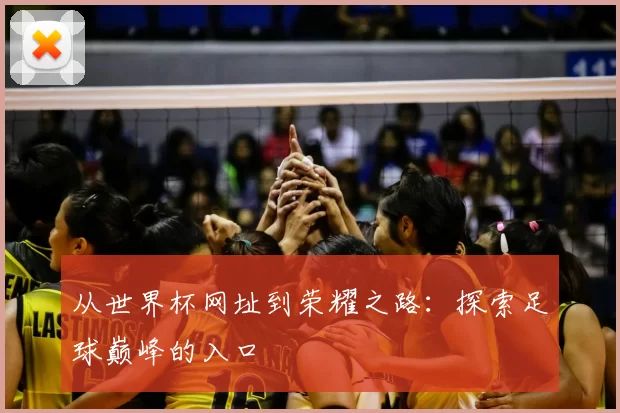 从世界杯网址到荣耀之路：探索足球巅峰的入口