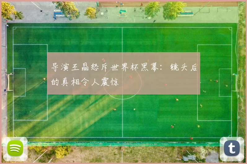 导演王晶怒斥世界杯黑幕：镜头后的真相令人震惊