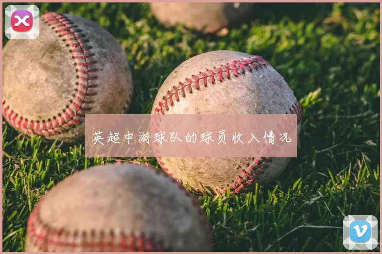 英超中游球队的球员收入情况