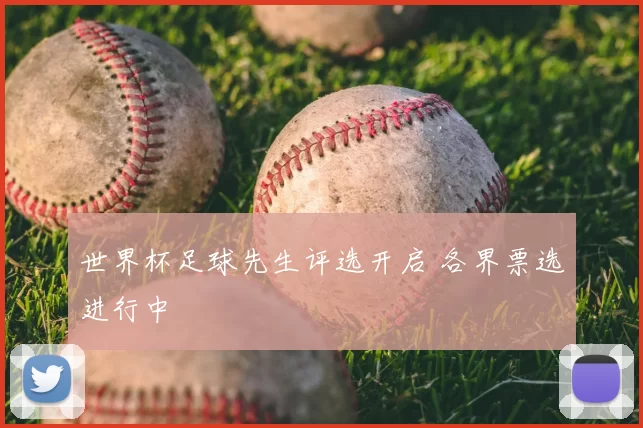 世界杯足球先生评选开启 各界票选进行中