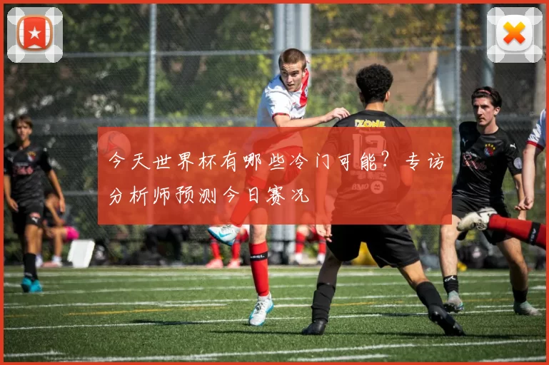 今天世界杯有哪些冷门可能?专访分析师预测今日赛况