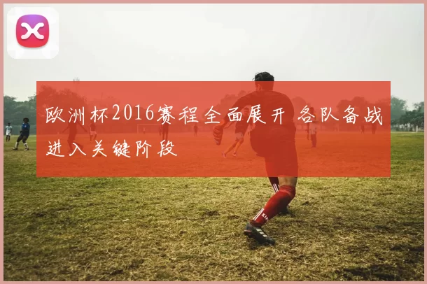 欧洲杯2016赛程全面展开 各队备战进入关键阶段