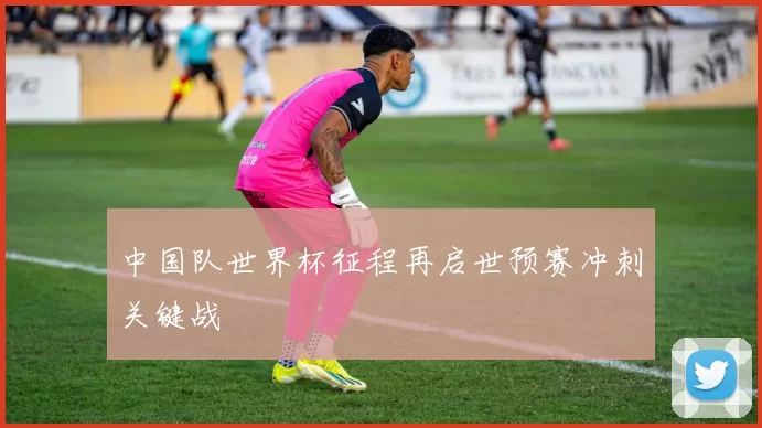 中国队世界杯征程再启世预赛冲刺关键战
