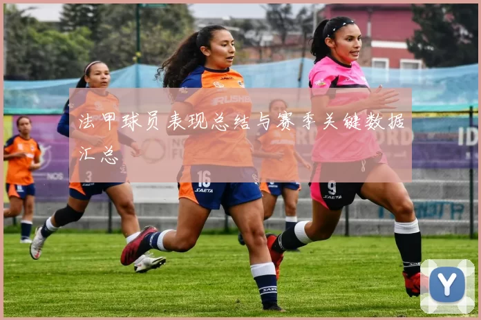 法甲球员表现总结与赛季关键数据汇总