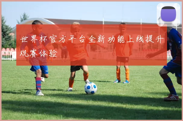 世界杯官方平台全新功能上线提升观赛体验