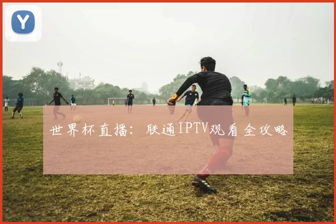 世界杯直播：联通IPTV观看全攻略