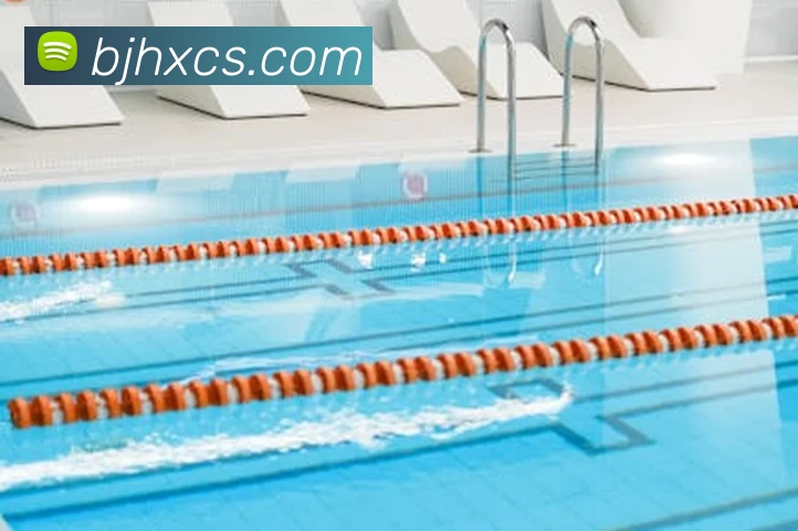 星空官网平台生态图